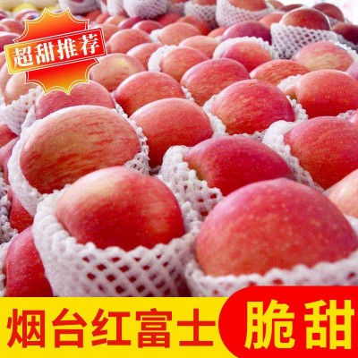 山东苹果产地大量**出售山东库存红富士苹果图3
