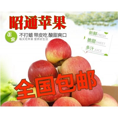 云南糖心苹果 昭通现摘苹果 爽口多汁不打蜡图5