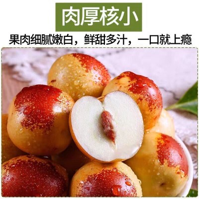 纯*山东冬枣*申请
