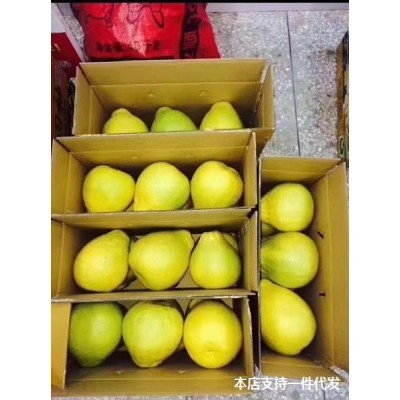 广西蜜柚新鲜柚子