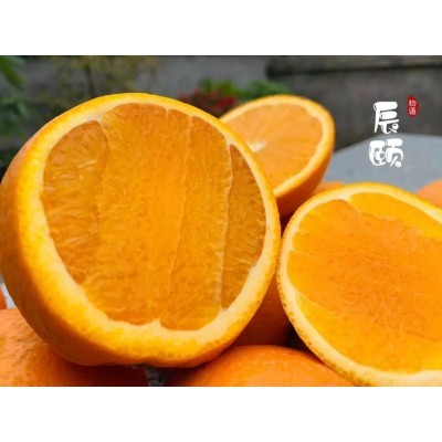 辰颐物语*创业-辰颐物语*代理-辰颐物语赚钱