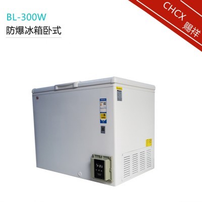 卧式防爆冰柜 冰箱 BL-300W-赐祥