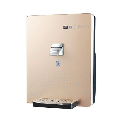 大真即热带制冷管线机图2