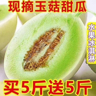 玉菇甜瓜现摘南汇玉菇甜瓜山东玉姑蜜瓜香瓜脆瓜应季水果斤包邮图6