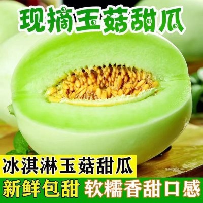 玉菇甜瓜现摘南汇玉菇甜瓜山东玉姑蜜瓜香瓜脆瓜应季水果斤包邮