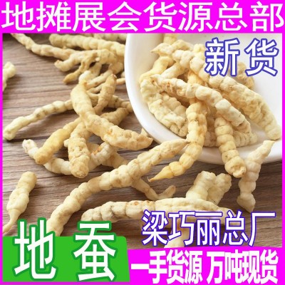 白虫草 土冬虫草 地石蚕地蚕 虫草参地虫草草石蚕地蚕产地直批