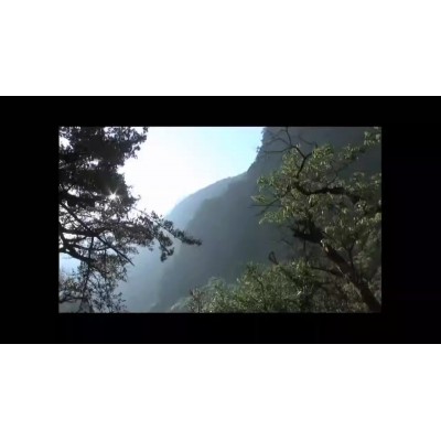 定制贴牌OEM代加工瑶草舒眼贴厂家可定制眼贴独立包装图4