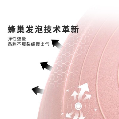 瑜伽球健身球加厚防爆孕妇专用助产大龙球儿童感统训练健身平衡球图2