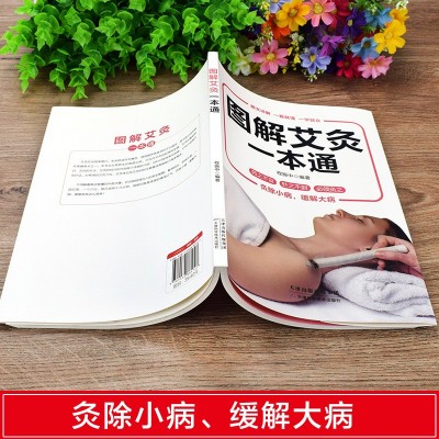 正版现货理疗书籍图解艾灸一本通 经典彩图版调和气血通经络平衡图3