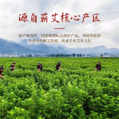 蕲艾精油 草本香薰艾草油植物艾灸油 按摩刮痧拔罐高纯度推拿油图2