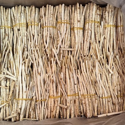 药材沙参批发玉竹药材500g批发煲汤北沙参条去头沙参煲汤材料图2