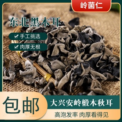 东北黑木耳 大兴安岭干货500g装无根食用木耳批发 椴木秋木耳图2