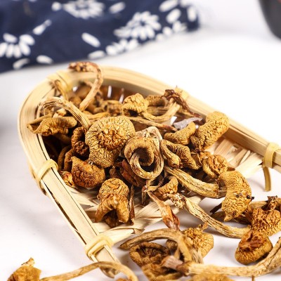 东北滑子菇 黑龙江特产肉厚干货罐装420g小黄蘑 食用菌菇干货蘑菇图3