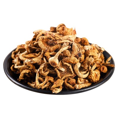 东北滑子菇 黑龙江特产肉厚干货罐装420g小黄蘑 食用菌菇干货蘑菇图5