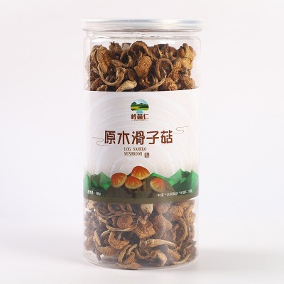 东北滑子菇 黑龙江特产肉厚干货罐装420g小黄蘑 食用菌菇干货蘑菇