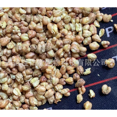 桂仁堂花草茶苦荞茶批发 黄苦荞/黑苦荞凉山全胚芽荞麦茶散装批发图2