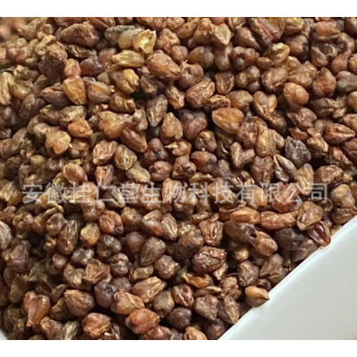 桂仁堂花草茶苦荞茶批发 黄苦荞/黑苦荞凉山全胚芽荞麦茶散装批发图3