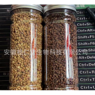 桂仁堂花草茶苦荞茶批发 黄苦荞/黑苦荞凉山全胚芽荞麦茶散装批发图4