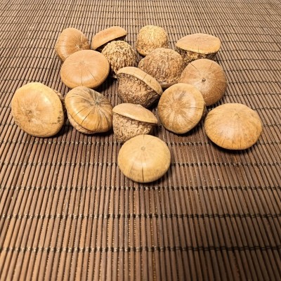 批发广西中药材风流果吊藤果龟头子泡酒料一斤7元没有果仁图3