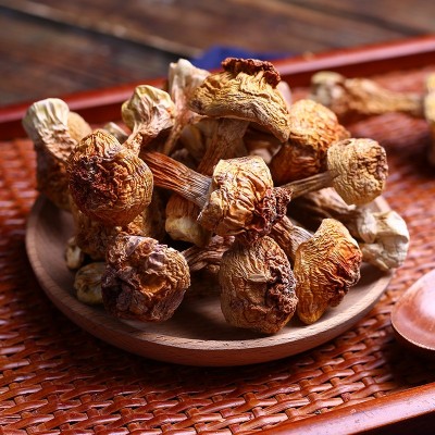一手货源批发云南特产松茸菌 巴西菇食用姬松茸2斤起批量大从优图2