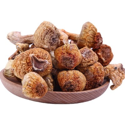 一手货源批发云南特产松茸菌 巴西菇食用姬松茸2斤起批量大从优图5