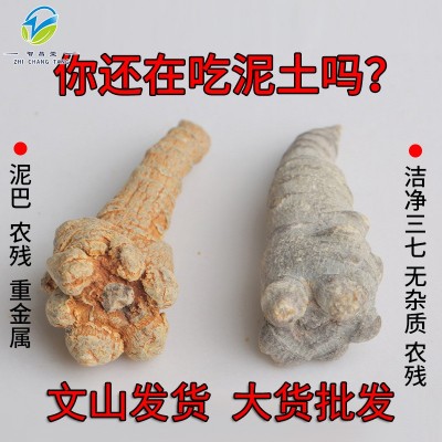 厂家批发去皮三七20头30头洁净三七田七云南文山三七头代打三七粉
