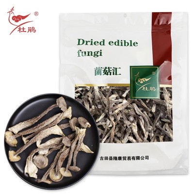 福建古田特产鹿茸菇干货500g袋装食用菌厂家精品批发干菌菇鹿茸菌