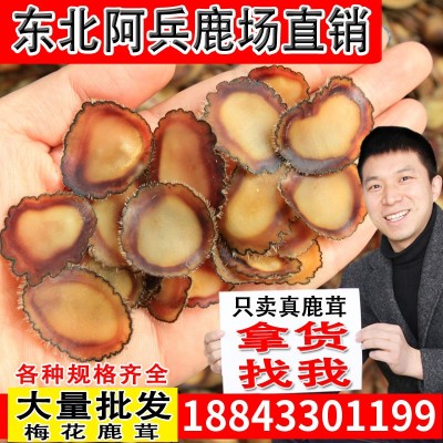 【吉林鹿场直销】鹿茸片批发东北足干鹿茸全腊片鹿茸血片男性图1