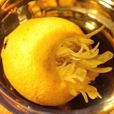 大量批发柠檬菊 柠檬红茶散装 菊之檬 金丝皇菊柠檬古树红茶图3