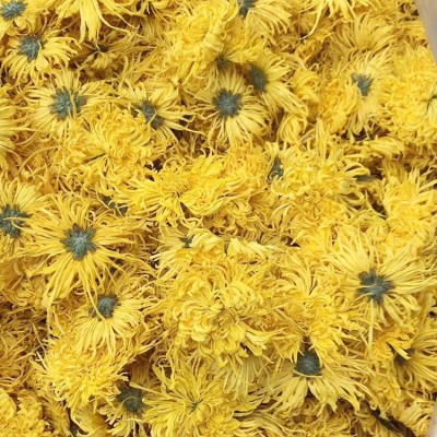 22 新花厂家供应 金丝皇菊 菊花茶 一朵一杯 大黄菊 散货批发图2