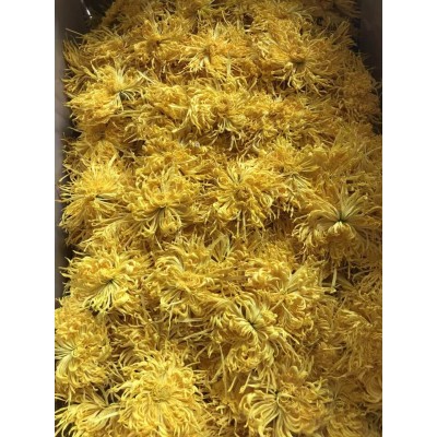 22 新花厂家供应 金丝皇菊 菊花茶 一朵一杯 大黄菊 散货批发图4