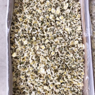 基地 黄山贡菊 菊花茶 白菊花 黄山贡菊菊花茶散装批发 量大价优图2