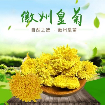 厂家供应徽州皇菊婺源皇菊金丝皇菊高山菊花茶 散货批发 量大从优