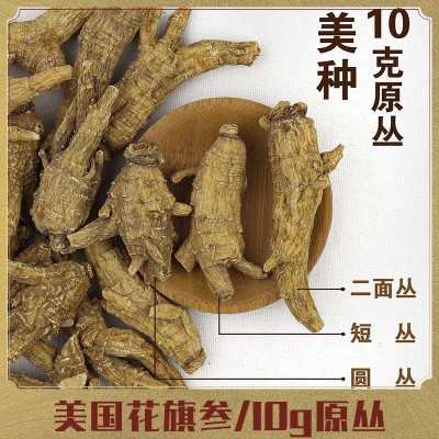美国花旗参【10g】原丛西洋参威斯康辛州美种规格货 切片厂家批发图1