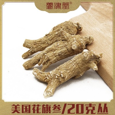 美国花旗参20g原丛西洋参威斯康辛州美种 规格货 可切片 厂家批发图2