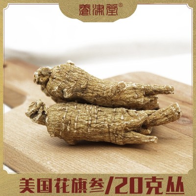 美国花旗参20g原丛西洋参威斯康辛州美种 规格货 可切片 厂家批发图1