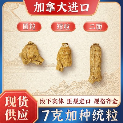 加拿大西洋参【3-20克上】花旗参统粒头圆粒短粒二面粒 厂家批发图3