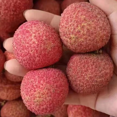 海南无核荔枝一种吃了没有核的荔枝顺丰包邮图3