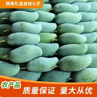 广西百色桂七芒果新鲜当季热带水果青芒礼盒果园直发