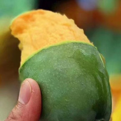 广西百色桂七芒果新鲜当季热带水果青芒礼盒果园直发图3