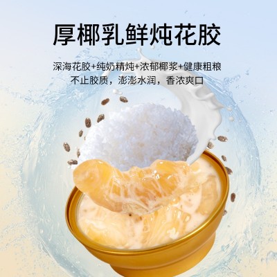 即食牛奶花胶 厚椰乳鲜炖花胶胶原蛋白营养速食代餐鱼胶鱼肚批发