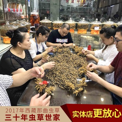 西藏冬虫夏草4000条 多规格综合接链 单品10克起售图3