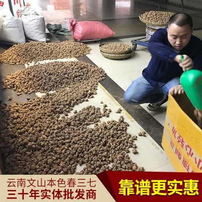 云南文山三七批发 20头30头40头60头规格（头数指500克多少个）图4