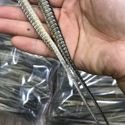 225头批发六角大海龙干货四角海龙海产品泡酒养生中药材料500g图3