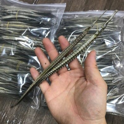 225头批发六角大海龙干货四角海龙海产品泡酒养生中药材料500g图5