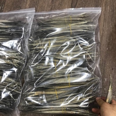 225头批发六角大海龙干货四角海龙海产品泡酒养生中药材料500g图4