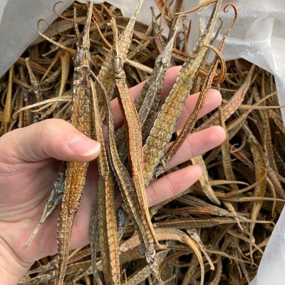 批发拟海龙三角海龙干货统货海产品泡酒养生材料煲汤料刁龙六角龙图5