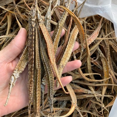 批发拟海龙三角海龙干货统货海产品泡酒养生材料煲汤料刁龙六角龙图4