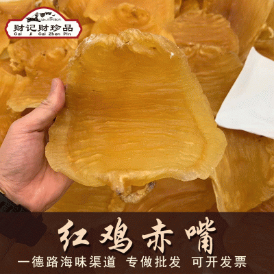 一德路财记鳘鱼胶红鸡赤嘴公胶母胶赤嘴花胶深海鱼胶鱼肚现货图3