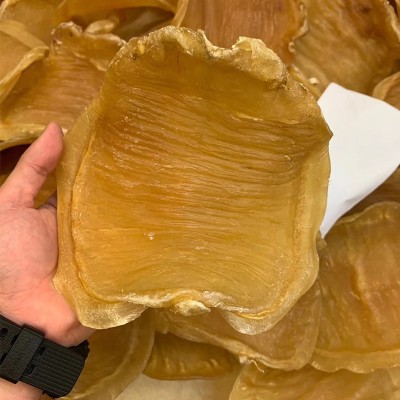 一德路财记鳘鱼胶红鸡赤嘴公胶母胶赤嘴花胶深海鱼胶鱼肚现货